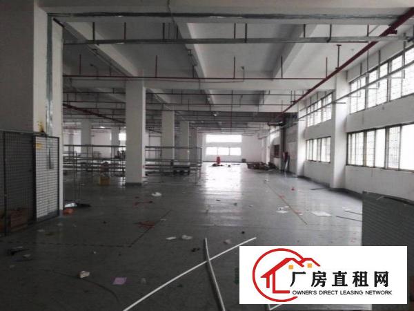  青皇西南新出独院2200平方厂房可以分租450平方