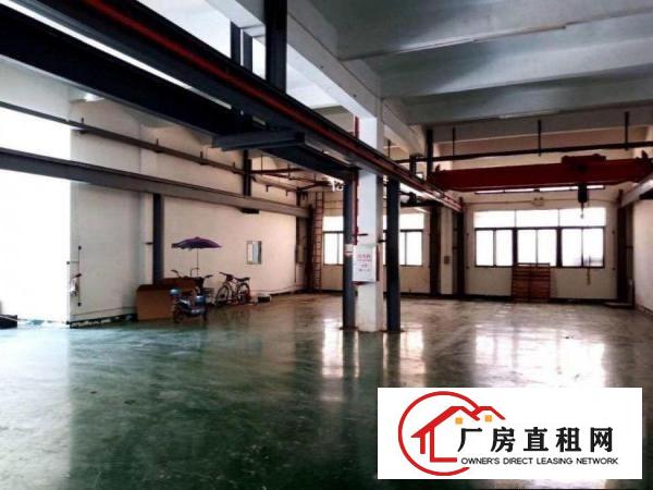  大利新出带行车厂房一楼550平方，带装修可办环评