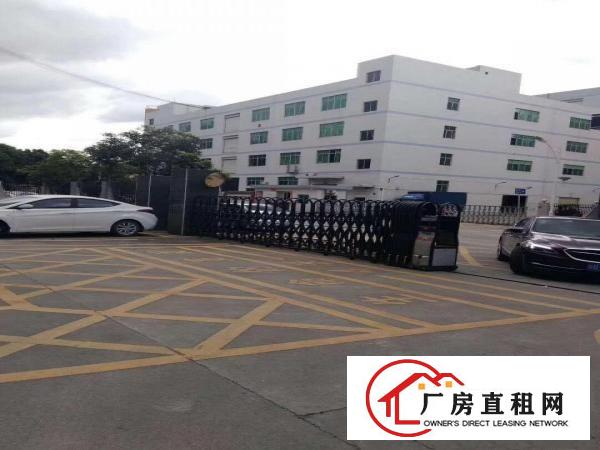  清溪镇新出（无公摊实际面积）原房东一楼700平厂房出租