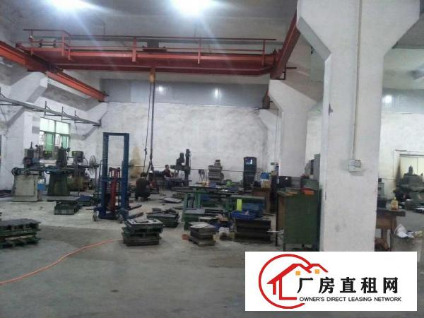  清溪镇新出（无公摊实际面积）原房东一楼700平厂房出租