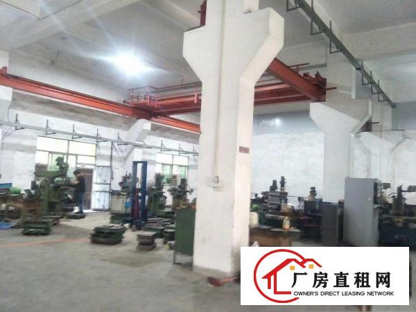  清溪镇新出（无公摊实际面积）原房东一楼700平厂房出租