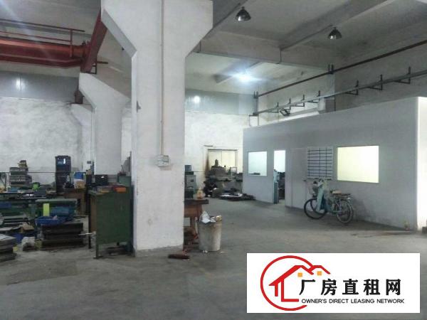  清溪镇新出（无公摊实际面积）原房东一楼700平厂房出租