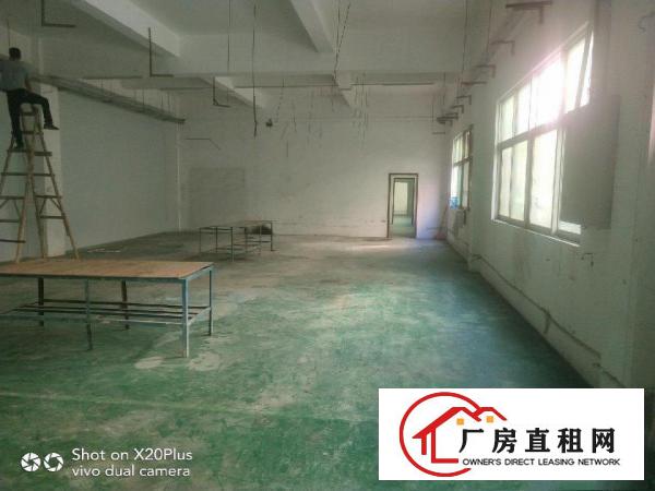  清溪低价漂亮厂房招租二楼标准厂房1200平只要11块钱