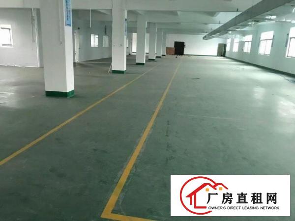  清溪镇原房东，独院总面积3500㎡