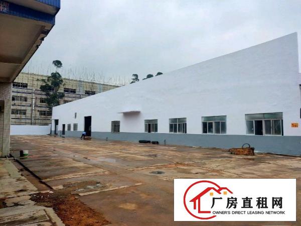  清溪三中新出原房东独院砖墙到顶单一层10000平米厂房出租