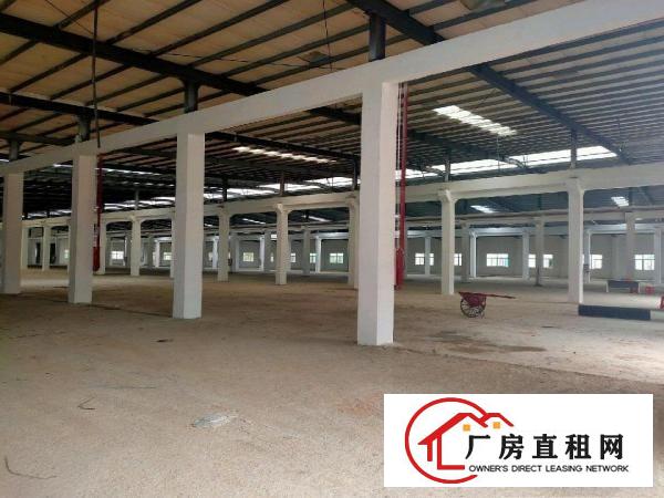  清溪三中新出原房东独院砖墙到顶单一层10000平米厂房出租