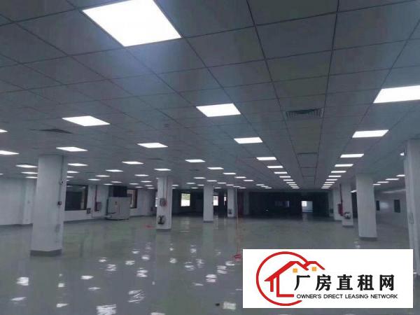  出租清溪镇中心2楼带装修500-2000平方部分无尘车