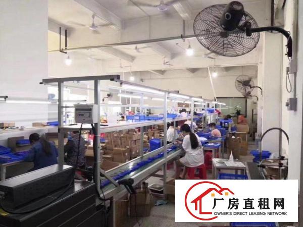  清溪荔横带装修厂房招租