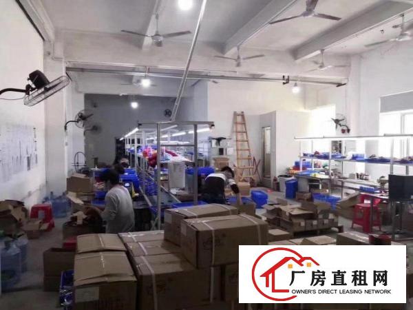  清溪荔横带装修厂房招租