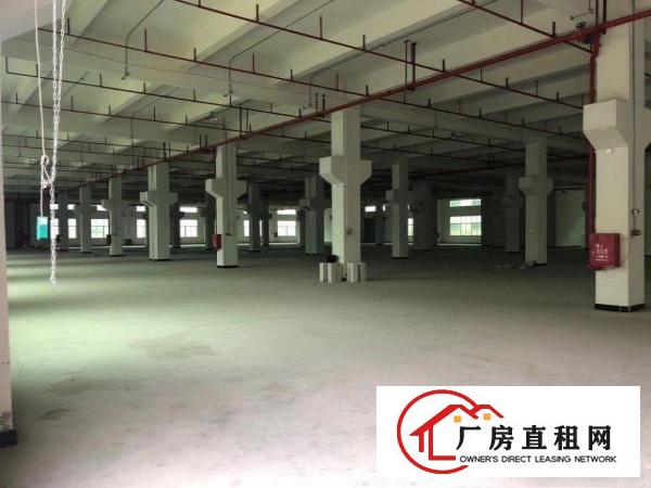  清溪全新花园式厂房大小分租