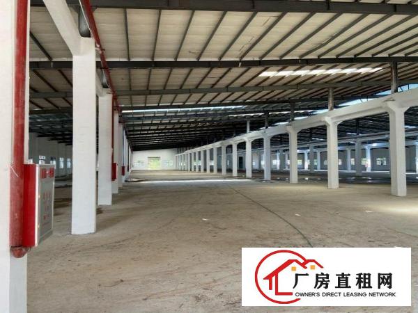  全新单一层独院厂房砖墙到顶