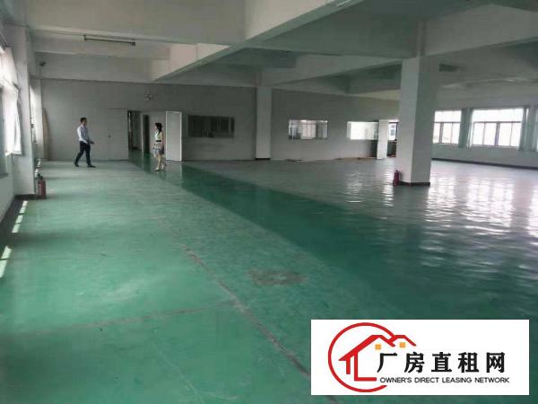  独院工业区厂房低价出租，可分租