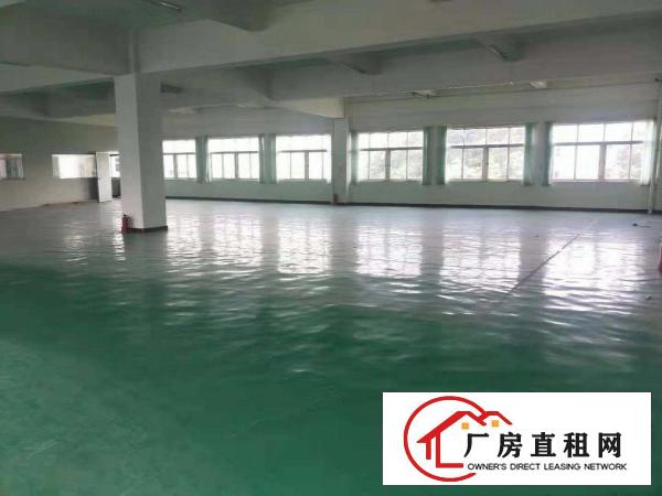  独院工业区厂房低价出租，可分租