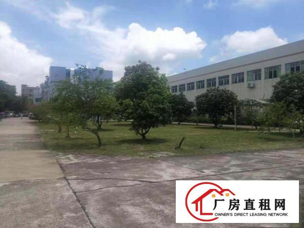  独院工业区厂房低价出租，可分租