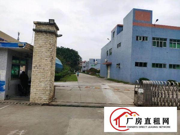  独院工业区厂房低价出租，可分租