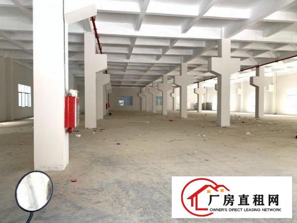  清溪高速出口新出独院厂房一楼高度6.5米2860平米招租