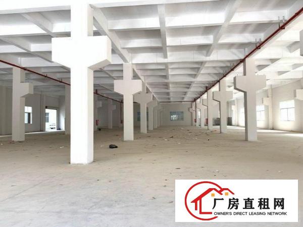  清溪高速出口新出独院厂房一楼高度6.5米2860平米招租