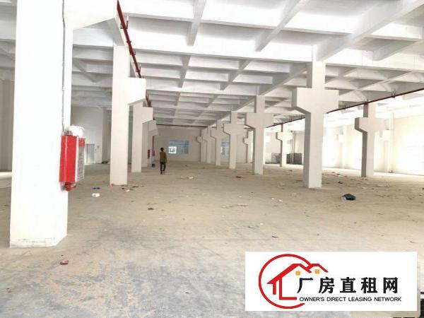  清溪高速出口新出独院厂房一楼高度6.5米2860平米招租