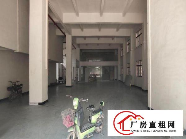  浮岗标准厂房出租一楼750平5米高装修阁楼可办环评