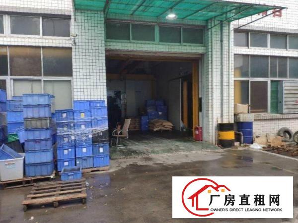  重河空出精装修标准厂房一楼厂房1000平方
