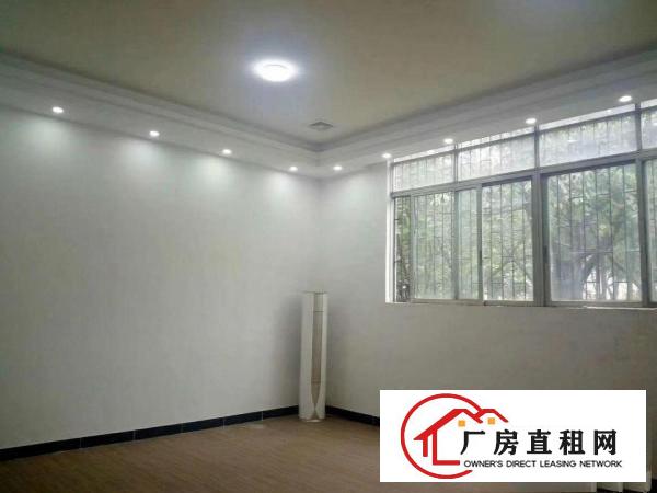  豪华装修办公室，大路边312平。厂区内单独一栋。
