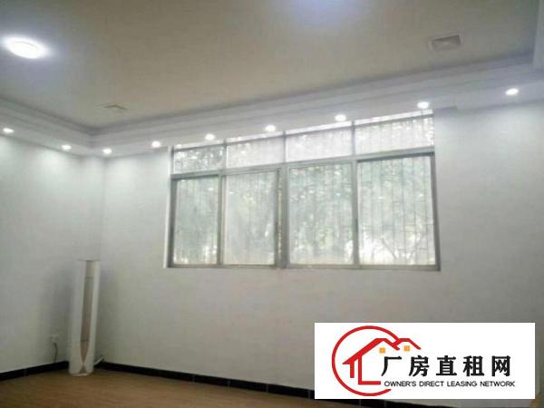  豪华装修办公室，大路边312平。厂区内单独一栋。