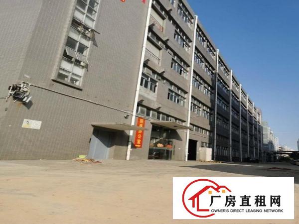  清溪310000平方厂房出租
