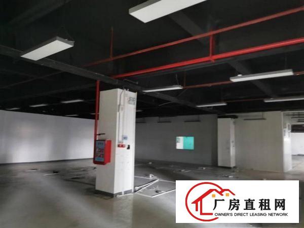  清溪310000平方厂房出租