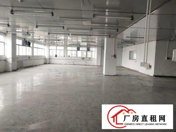  清溪310000平方厂房出租