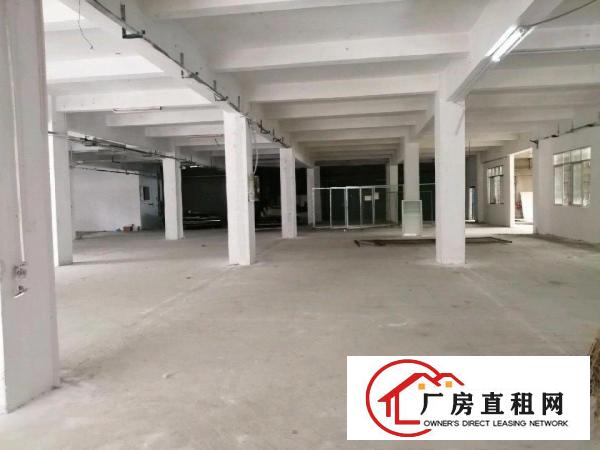  清溪11元的厂房，可以整租或分租。11元喔你要尽快联系我吧