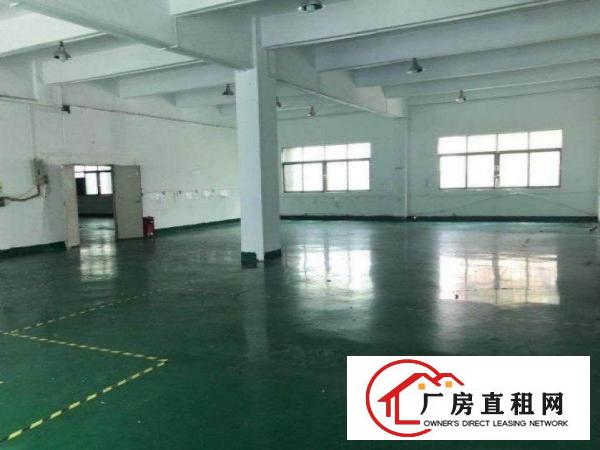  土桥新出1楼280平厂房有现成办公室地坪漆