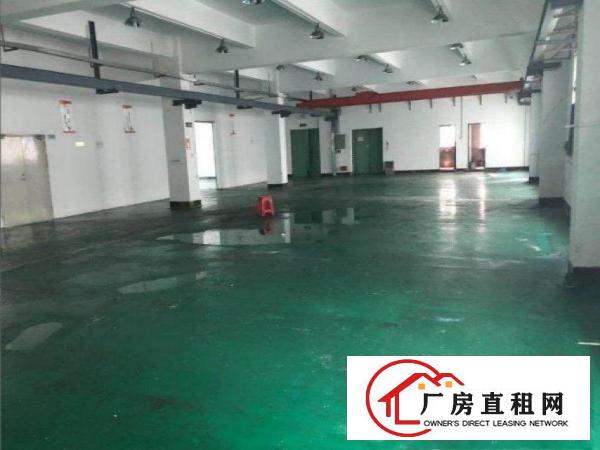  土桥新出1楼280平厂房有现成办公室地坪漆