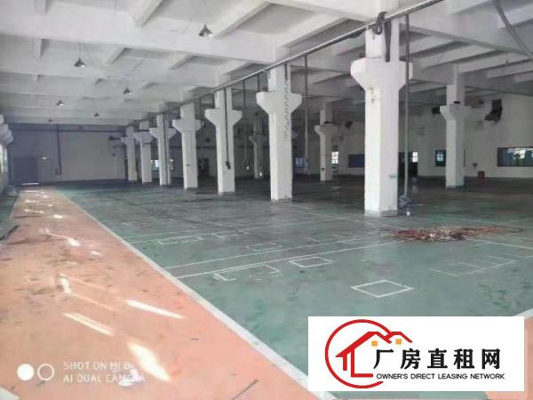  清溪三中。优美独院。一楼厂房。2000平方米。牛角位。重工业
