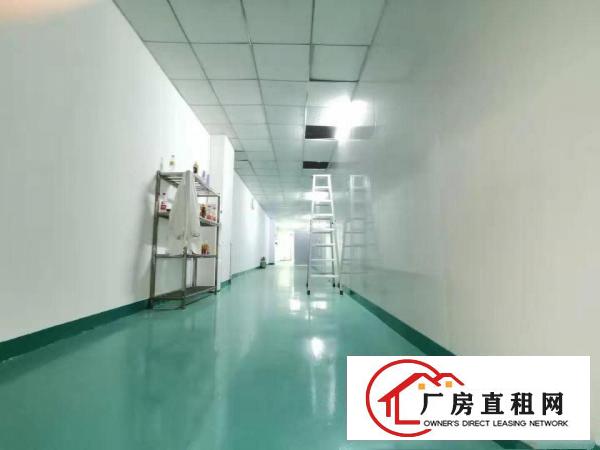  ~~清溪镇13800平米，双证齐全，任意分租，办厂好地段~~