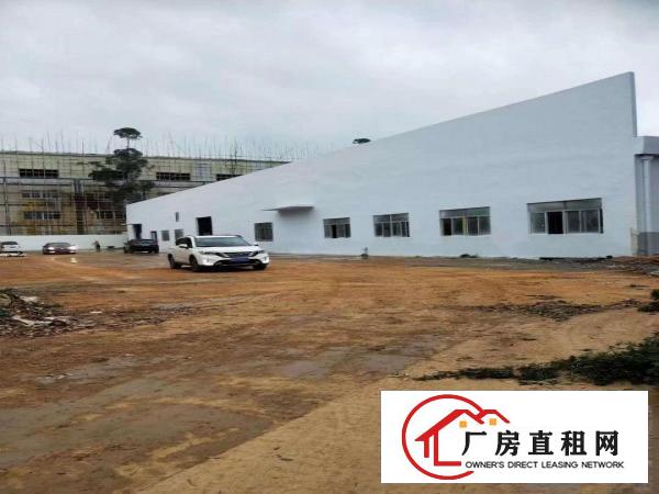  清溪全新单一层原房东厂房招租，钢结构厂房10000平方出租