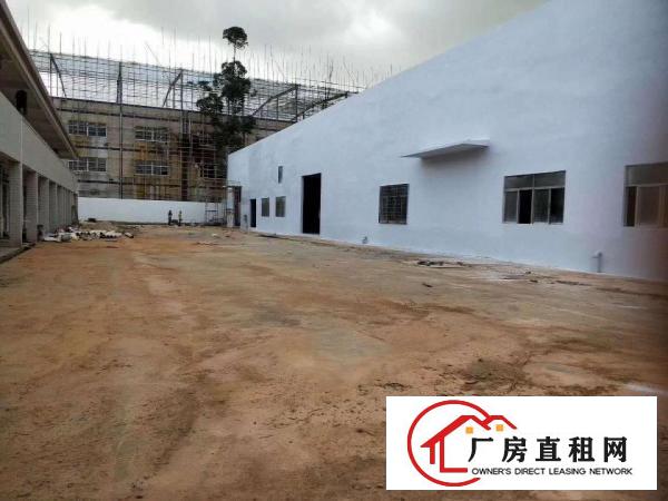  清溪全新单一层原房东厂房招租，钢结构厂房10000平方出租