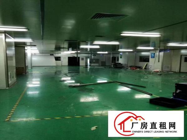  出租清溪镇土桥二楼480平方标准厂房带办公室地坪漆