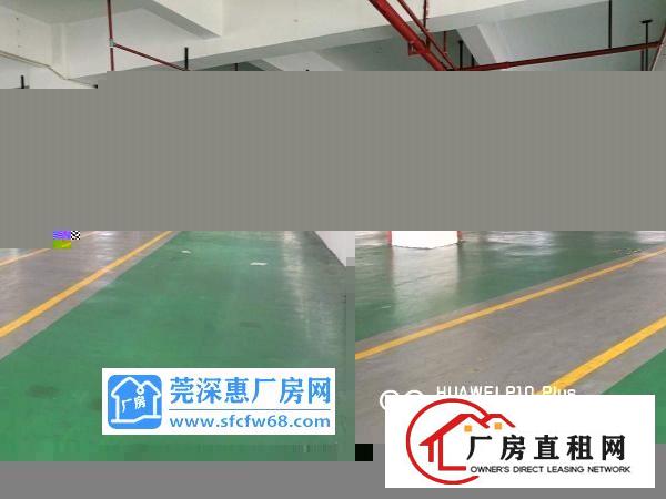  出租清溪大利村精品厂房出租带装修办公室
