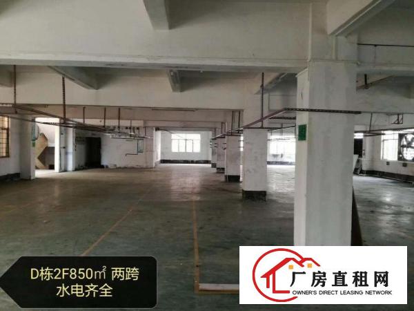  出租清溪镇1900平方办公室装修厂房出租