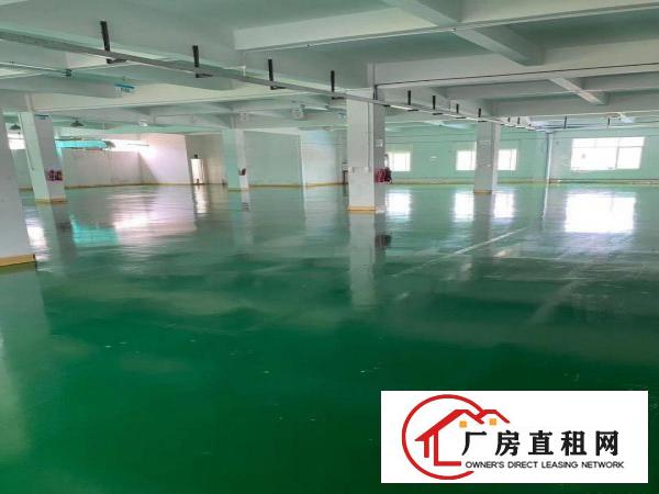  清溪新出厂房交通便利易招工
