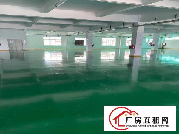  清溪新出厂房交通便利易招工