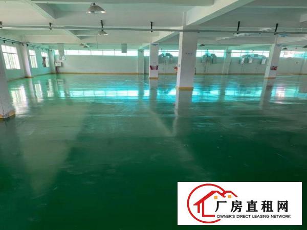 清溪新出厂房交通方便易招工