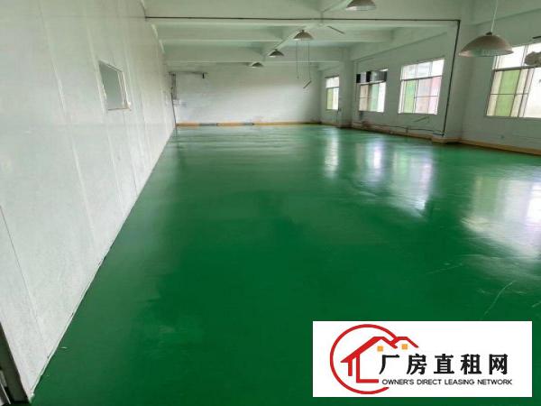  清溪新出厂房交通方便易招工