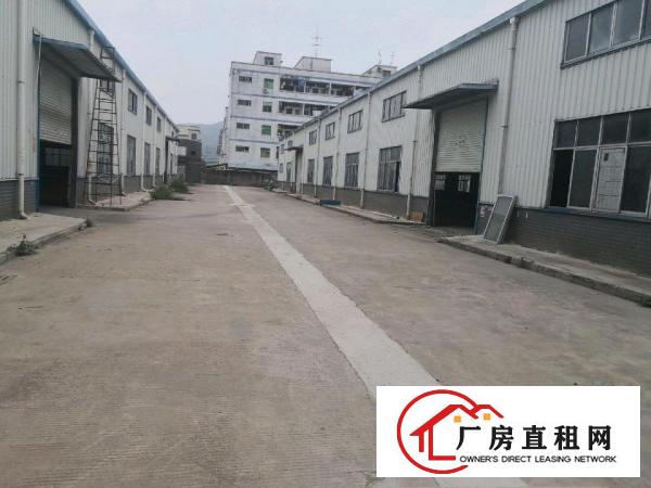  清溪三中新出原房东独门独院滴水8米钢构厂房5400平米