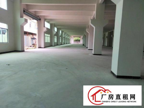  全新厂房出租价格便宜