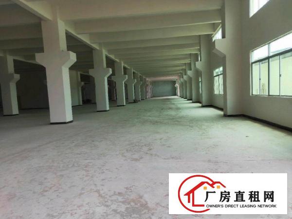  全新厂房出租价格便宜