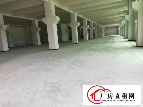  全新厂房出租价格便宜