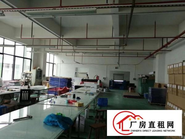  清溪三中高速路口新出四楼700平