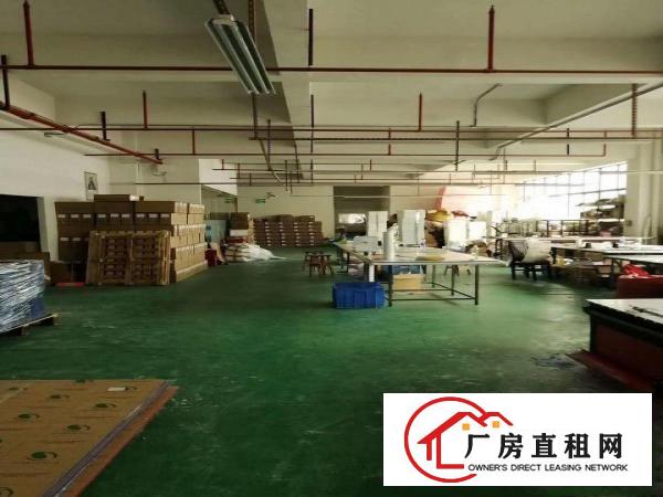  清溪三中高速路口新出四楼700平