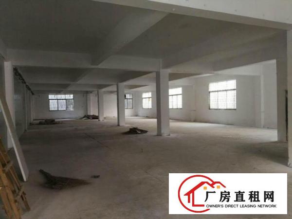  新溪九乡村委厂房招租。大小分租不限行业。